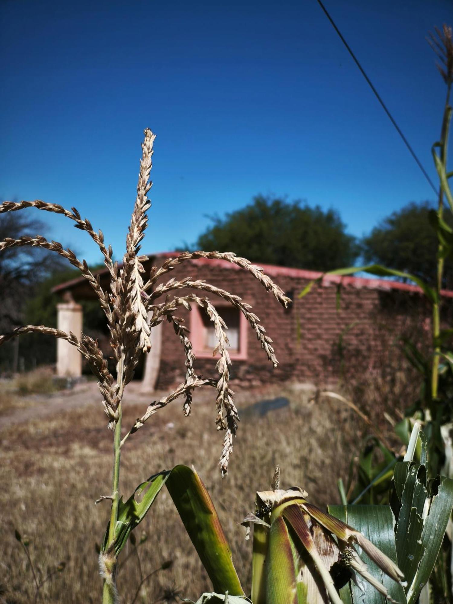 Hospedaje Finca La Encantada Seclantás Exterior foto